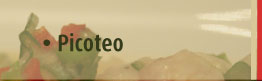 PIcoteos